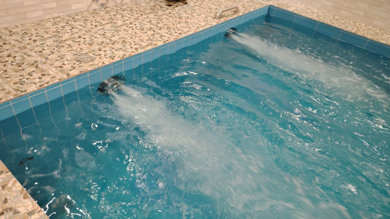 Бассейн с противотоком, Гостиница Барбарис