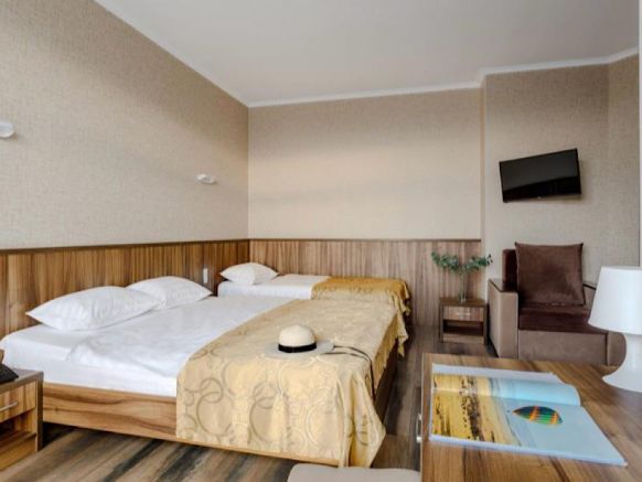 Фотография номера гостиницы Абсолют