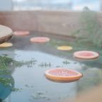 Баня, Бизнес-центр отель Smolinopark