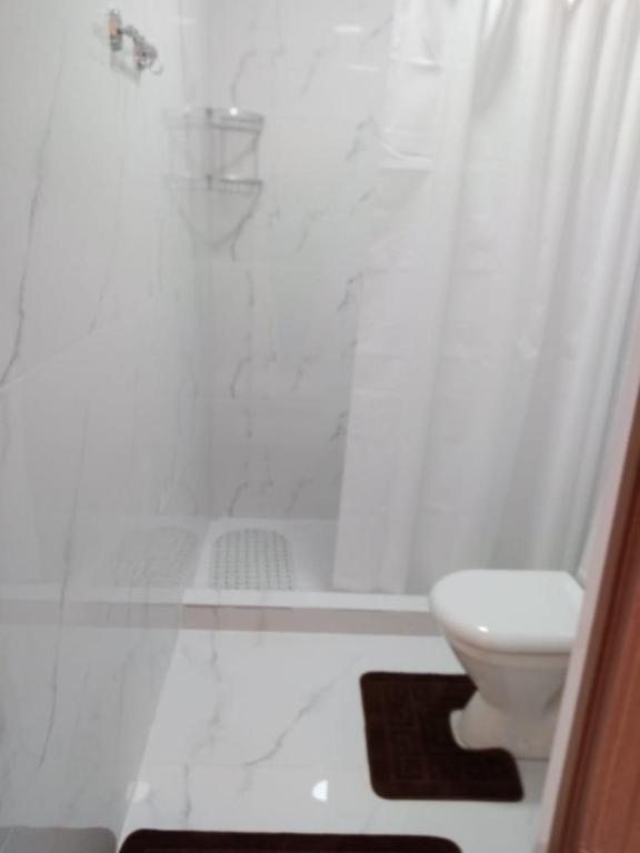 Трехместный (Трехместный номер «Комфорт» с душем) отеля Багрипш, Гагра