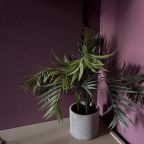 Двухместный (Комната с удобствами на этаже), Гостевой дом Все путём