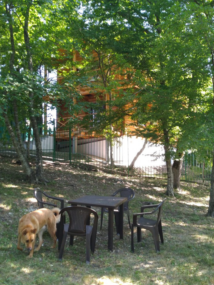 Место для выгула собак и садовая мебель для отдыха хозяев