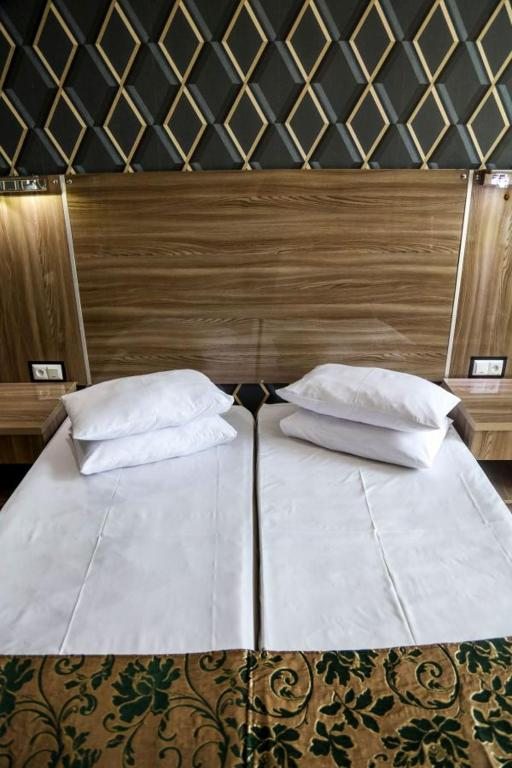 Двухместный (Стандартный двухместный номер с 2 отдельными кроватями и видом на горы) отеля Боржоми Аиси