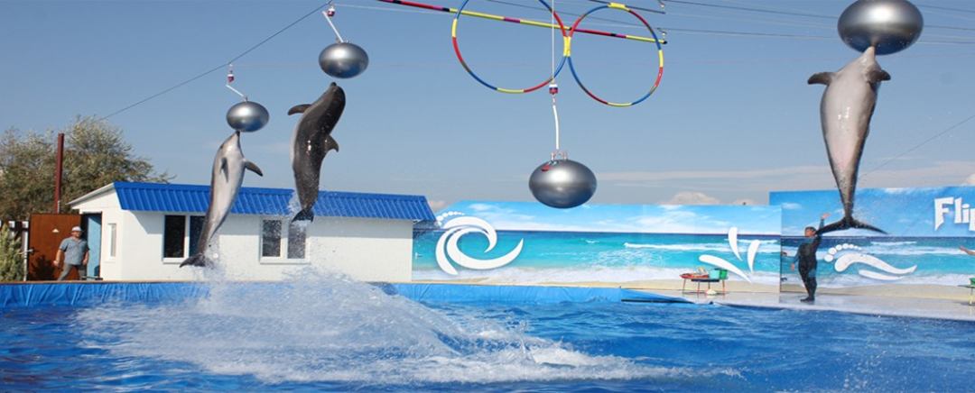 Дельфинарий, Комплекс Aquamarine Resort & SPA