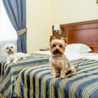 Отдых с домашним животным до 10 кг в стандартных номерах.