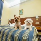 Отдых с домашним животным до 10 кг в стандартных номерах.