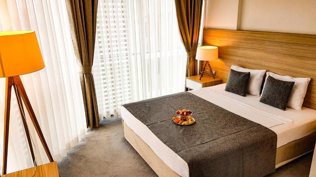 Двухместный (Стандартный двухместный номер с 1 кроватью или 2 отдельными кроватями) отеля Ozyigit Otel, Газипаша