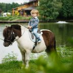 Верховая езда, Загородный отель Артиленд