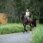 Верховая езда, Загородный отель Артиленд