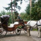 Верховая езда, Загородный отель Артиленд