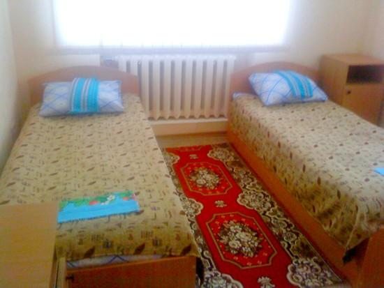 Двухместный (Койко-место в двухместном номере) мини-гостиницы Ассоль, Вологда