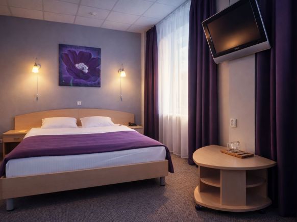 Фотография номера гостиницы Ингрия