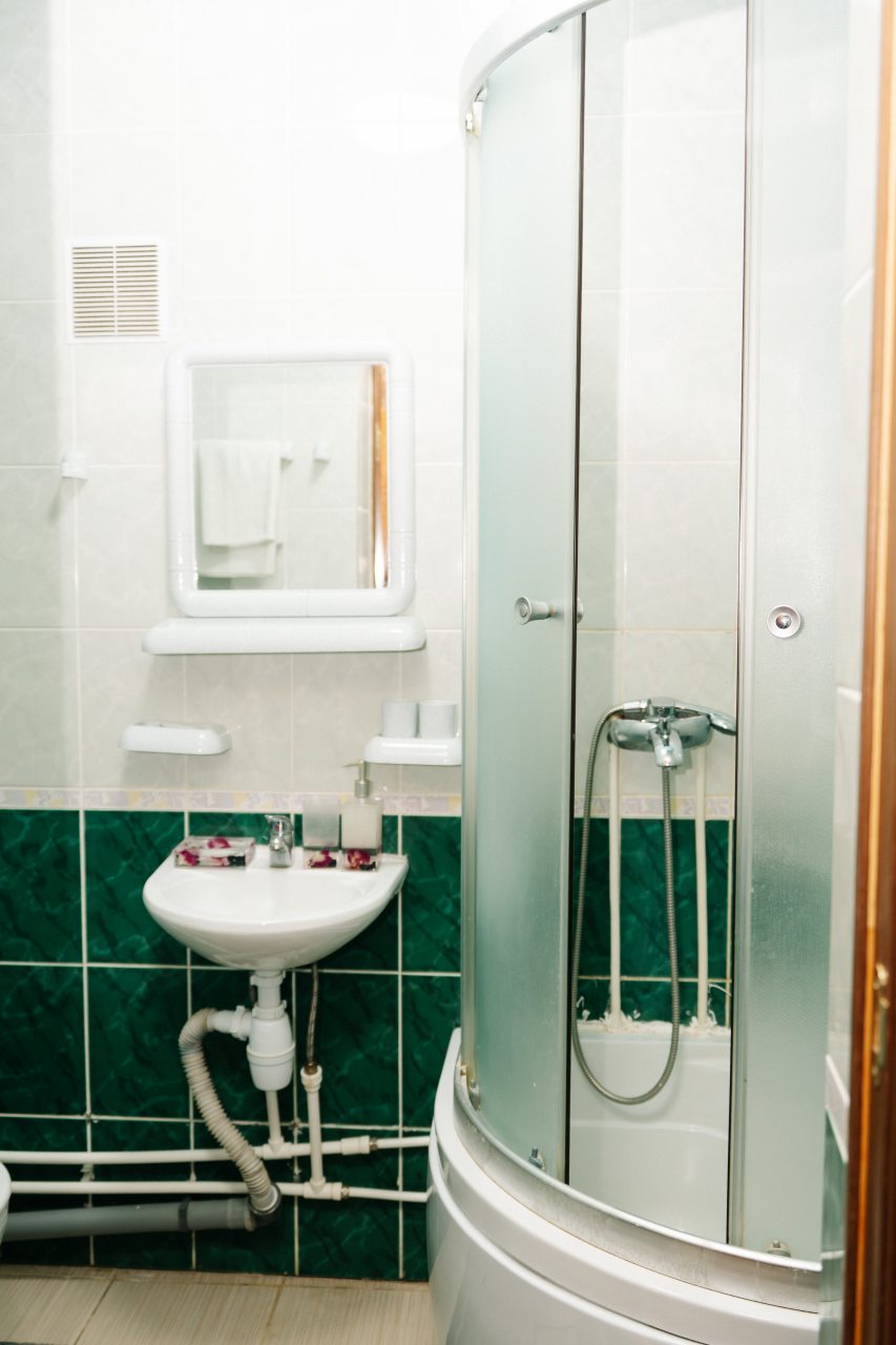 Люкс (С кухонной зоной), Гостиница Алмаз