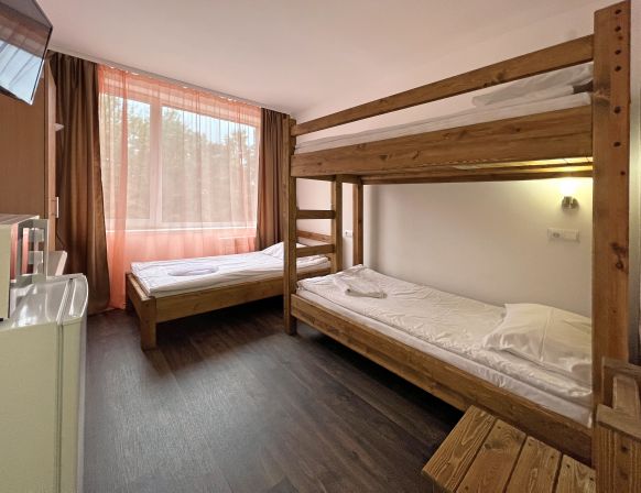 Фотография номера гостиницы Карелия