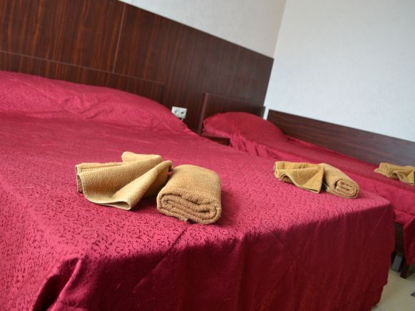 Фотография номера гостиницы RS-Royal