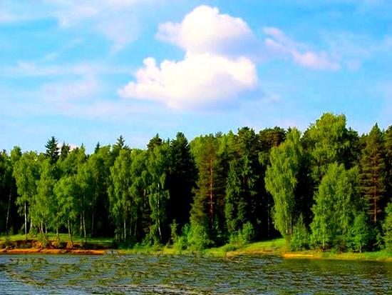 Озеро. База отдыха Ждановское подворье