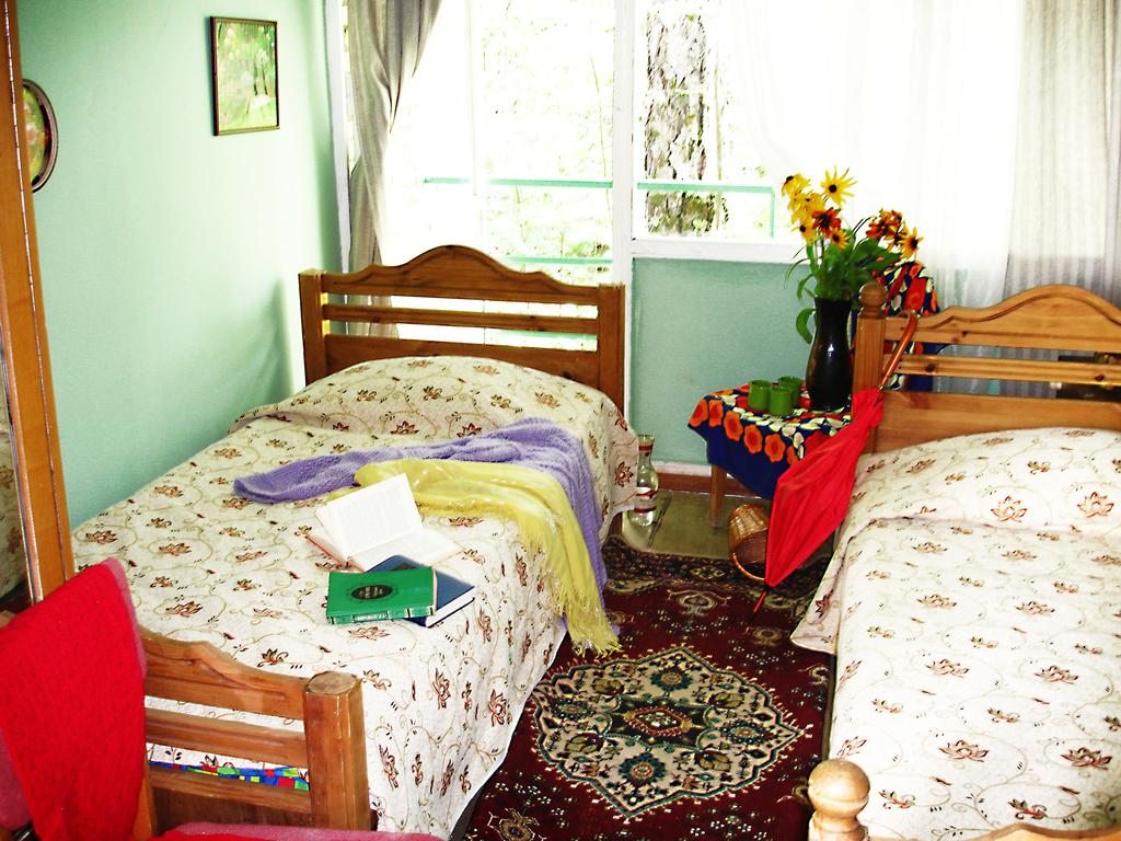 Двухместный (Двухместный номер с 2 отдельными кроватями) хостела Дачная Резиденция, Звенигород