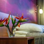 Двухместный (Комфорт), Отель Загреб