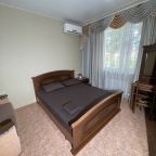 Двухместный (Двухместный номер комфорт с 1 кроватью), Гостевой дом Арина