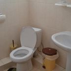 Двухместный (Стандартный двухместный номер с 2 отдельными кроватями), Гостевой дом Виноградная лоза
