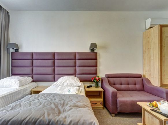 Фотография номера гостиницы Веллион Водный