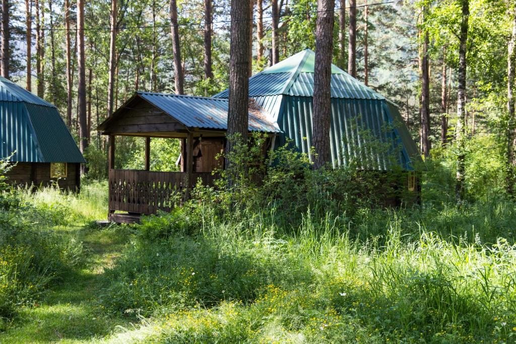 Четырехместный (Четырехместный номер), Турбаза Белые Росы