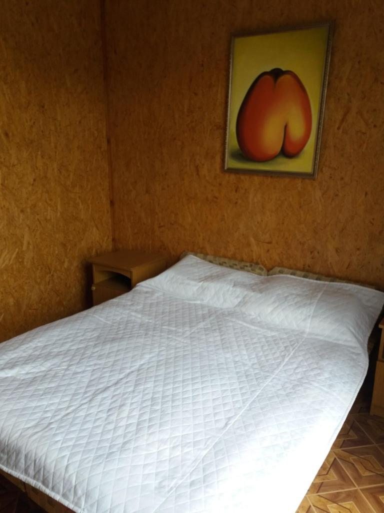Двухместный (Двухместный номер с 1 кроватью или 2 отдельными кроватями) гостевого дома Чистые пруды, Головинка