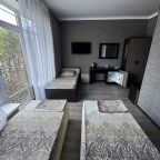 Трехместный (Номер с раздельными кроватями), Гостиница Park Hotel