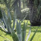 Территория