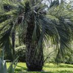 Территория