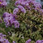 Территория