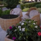 Территория