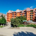 Отель «Медведь Resort» Бассейн, Ресторан, Спорт, Спа, Бар