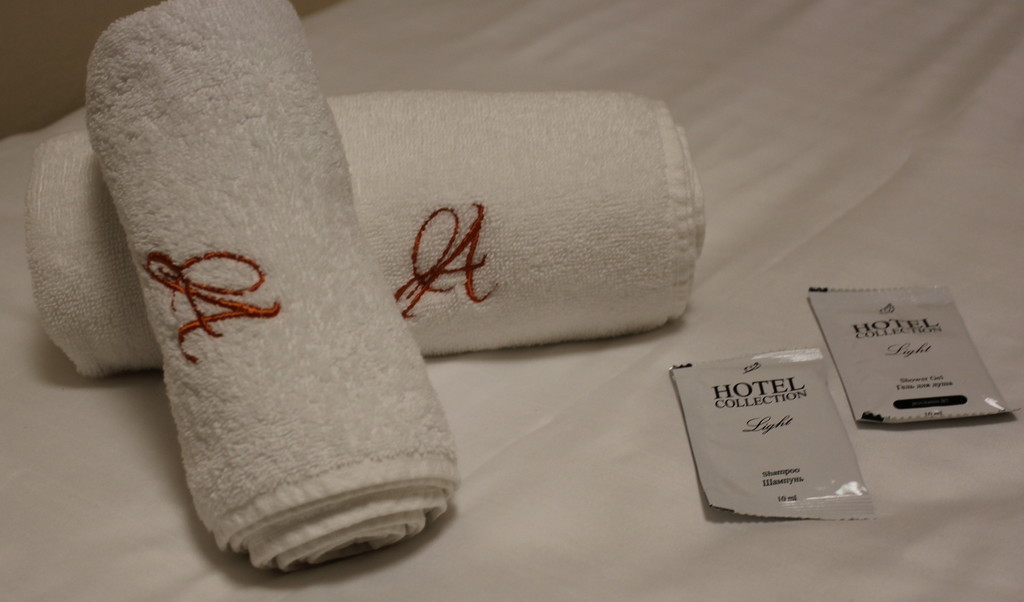 Двухместный (С 1 кроватью и собственной ванной комнатой) отеля АСТ-Отель, Москва