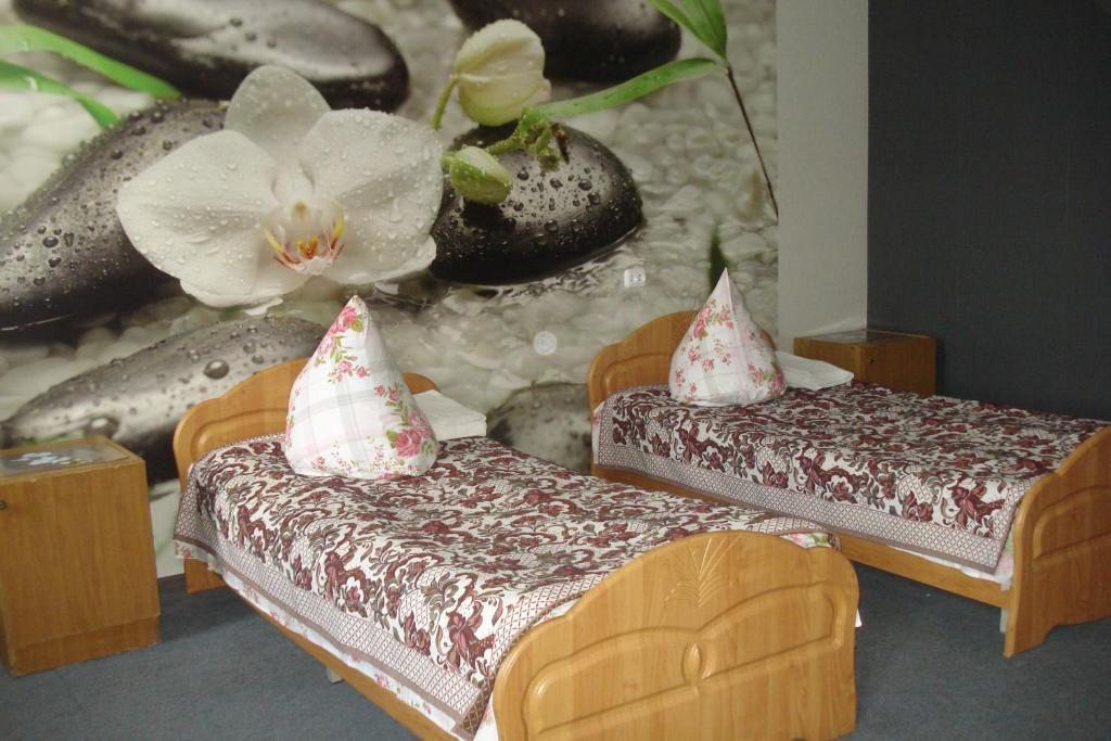 Двухместный (Бюджетный двухместный номер с 2 отдельными кроватями) отеля Аэлита, Пинск