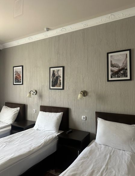 Фотография номера гостиницы Бостан