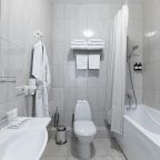 Двухместный (Улучшенный Бизнес), Гостиница Горки