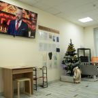 просмотр программ по смарт-тв, Хостел Все медведи