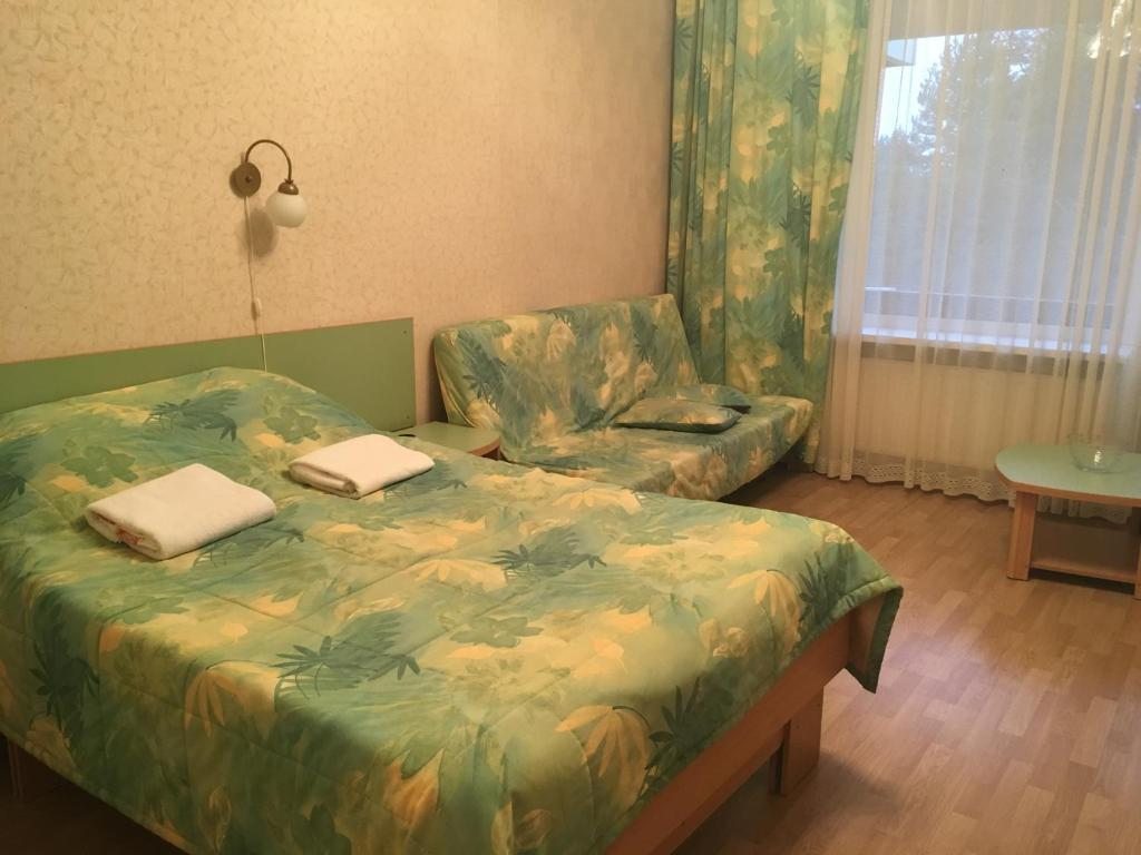 Двухместный (Стандартный двухместный номер с 1 кроватью: лечение включено) санатория Дюны, Сестрорецк