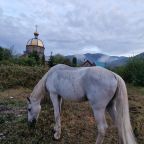 Прогулки на лошадях