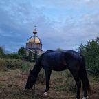 Прогулка верхом на лошадях