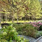 Территория отеля