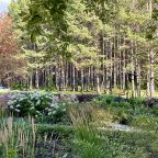 Территория отеля