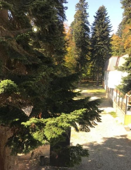 Гостиница Турист