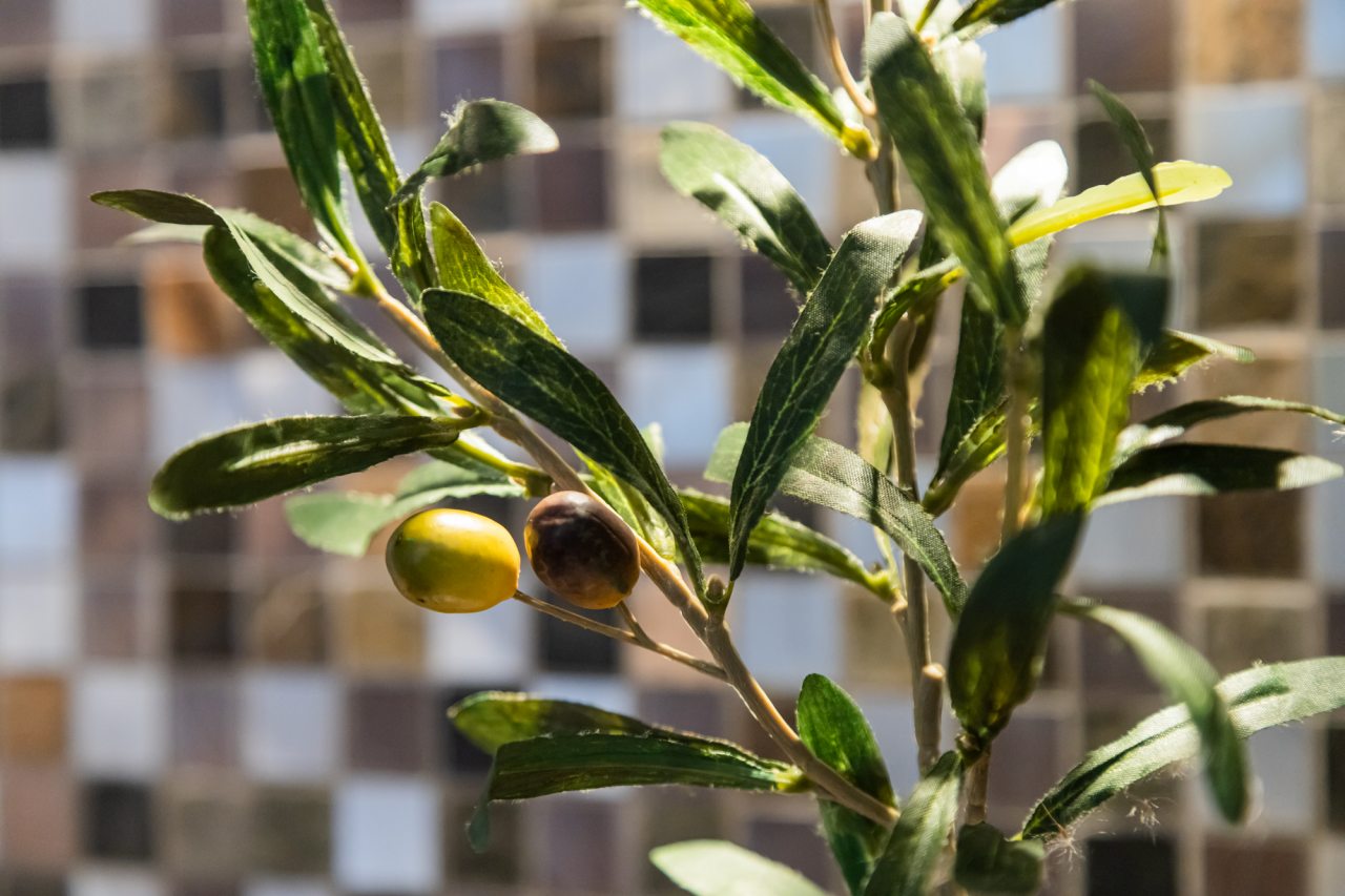 Одноместный (Оливия ул. Дальневосточная 29/2), Апартаменты Baikal Story