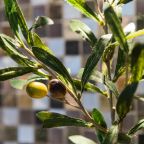 Одноместный (Оливия ул. Дальневосточная 29/2), Апартаменты Baikal Story