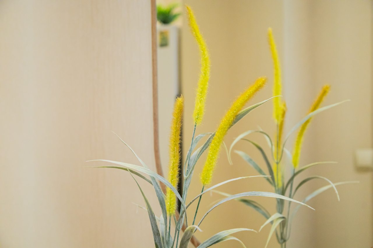 Одноместный (Оливия ул. Дальневосточная 29/2), Апартаменты Baikal Story