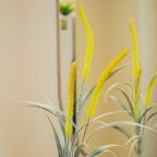 Одноместный (Оливия ул. Дальневосточная 29/2), Апартаменты Baikal Story