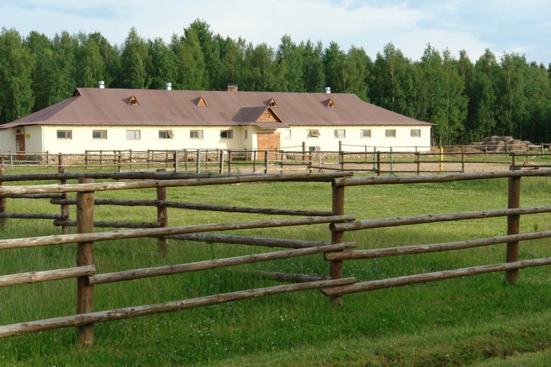 Прокат лошадей, Парк-Отель Колкуново