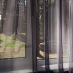 Парковка, Турбаза Берендеево царство